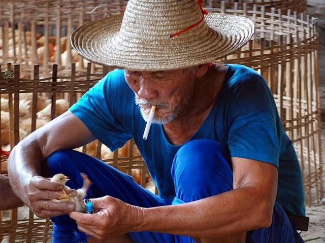 三兄弟爭相侍候老人，老人過世遺產卻贈外人，他們又給那人十萬元