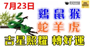 7月23日生肖運勢【雞、鼠、猴大吉】 