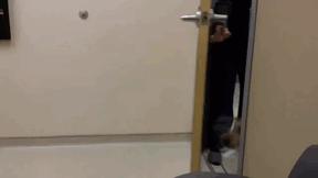 30種「可愛小動物們的第一次體驗」爆笑場景，牠們超療癒的反應會讓你瞬間升天！ 