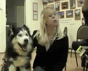 30種「可愛小動物們的第一次體驗」爆笑場景，牠們超療癒的反應會讓你瞬間升天！ 
