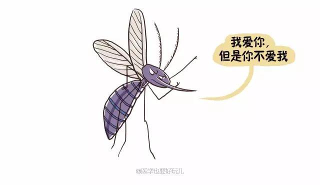 「一關燈就出現，一開燈就消失」原來蚊子竟知道你睡了沒有！ 