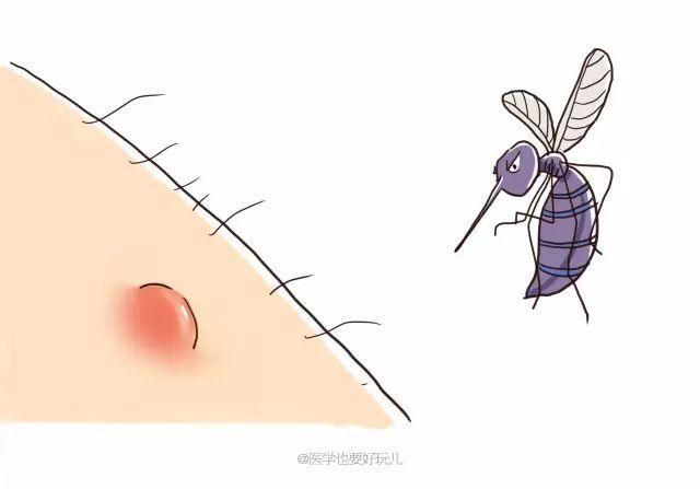 「一關燈就出現，一開燈就消失」原來蚊子竟知道你睡了沒有！ 