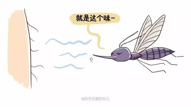「一關燈就出現，一開燈就消失」原來蚊子竟知道你睡了沒有！ 