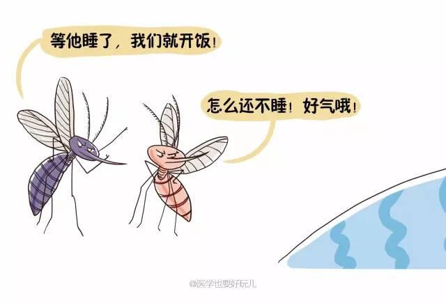 「一關燈就出現，一開燈就消失」原來蚊子竟知道你睡了沒有！ 