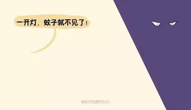 「一關燈就出現，一開燈就消失」原來蚊子竟知道你睡了沒有！ 