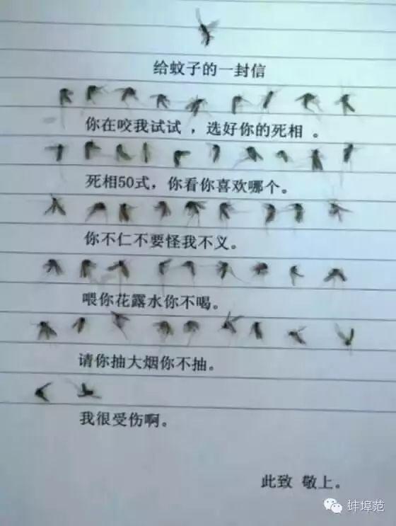 「一關燈就出現，一開燈就消失」原來蚊子竟知道你睡了沒有！ 