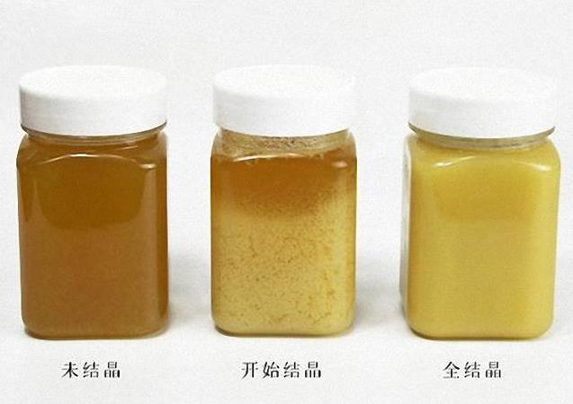 80 歲 老 蜂 農 教 你 一 杯 「 清 水 」 快 速 辨 別 真 假 蜂 蜜 ！非常實用，不信試一試~