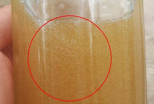 80 歲 老 蜂 農 教 你 一 杯 「 清 水 」 快 速 辨 別 真 假 蜂 蜜 ！非常實用，不信試一試~