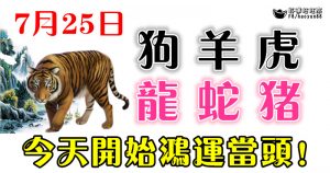 7月25日生肖運勢_狗、羊、虎大吉 