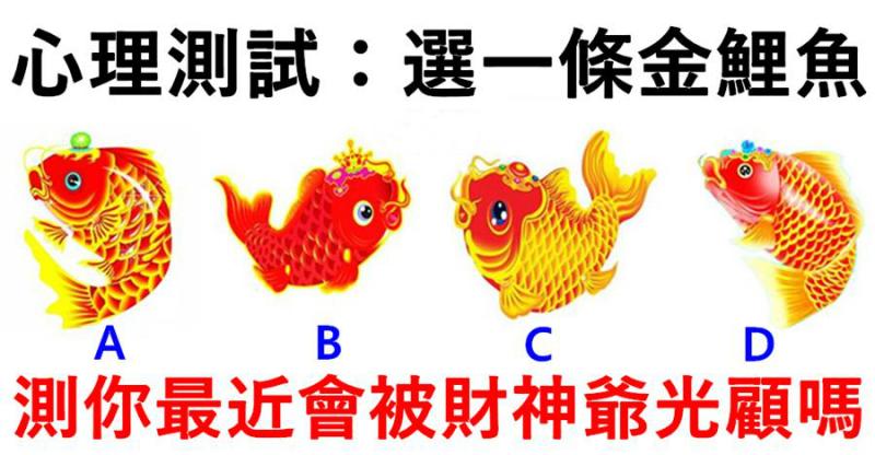 心理測試：四條金鯉魚選一條，測出你最近會不會被財神爺光顧？