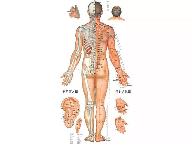 有這6個症狀說明你的經絡堵塞了！難怪總生病！這樣拉伸，讓氣血活起來