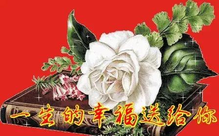 今天是女兒日，有女兒就發下，沒有就算了！為女兒祈福66年 