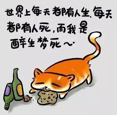 人生歪理圖，歪的不是一般的有道理 小樣的！