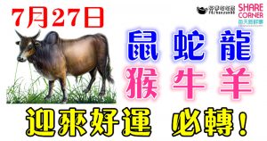 7月27日生肖運勢_鼠、蛇、龍大吉 