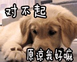 黑暗月餅大比拼，沒有最奇葩，只有更驚恐