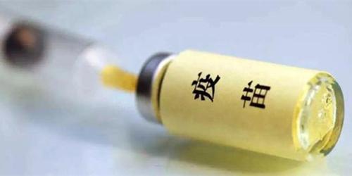 小狗剛到家怎麼養，最科學的方法，了解一下