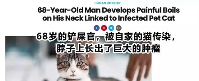 被貓主子親了一口，脖子上竟長出致命腫瘤……