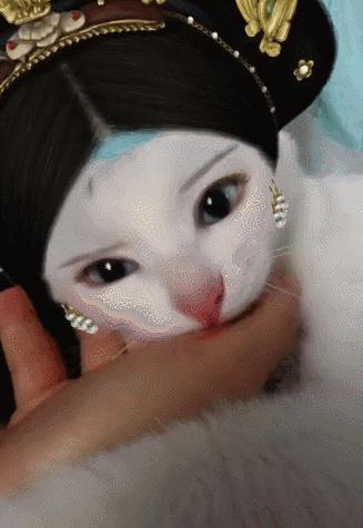 奇葩寵主為自己貓咪化妝後，網友大呼：奴才參見貴妃娘娘
