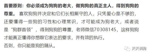 訓犬秘籍（一般人我不告訴他）