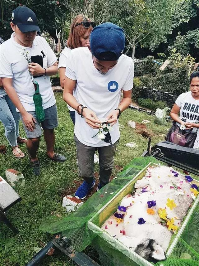 鏟屎官給阿拉斯加舉辦葬禮，入殮師給狗狗撒上鮮花，主人泣不成聲