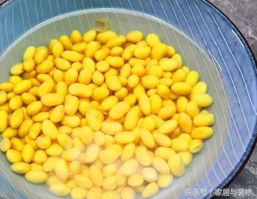 黃豆這樣做比花生米還要好吃：簡單易學，孩子零食和下酒菜必選！