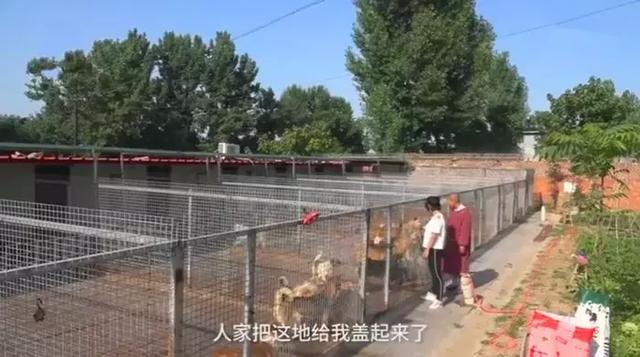 女法師自掏腰包辦護生園，救數百流浪動物，面對埋怨仍不改初衷