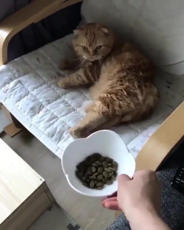 奴才送飯「朕94要你喂」！飯來張口網看呆：真的是皇帝命...