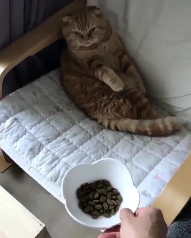 奴才送飯「朕94要你喂」！飯來張口網看呆：真的是皇帝命...