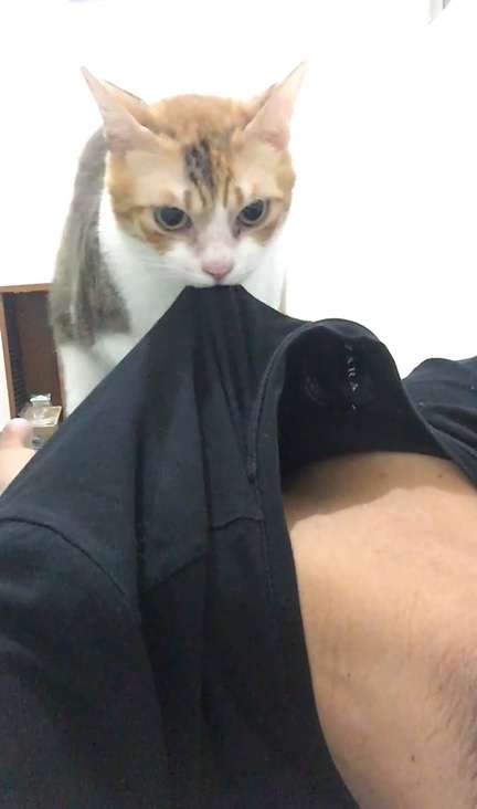 「甜蜜踏踏」奴才表情超痛苦　大聲哀嚎「賀啦賀啦」：你指甲沒剪啊～