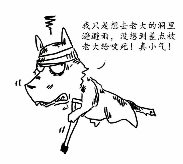 和寵物睡覺真的安全嗎？原來有這麼多地方需要注意