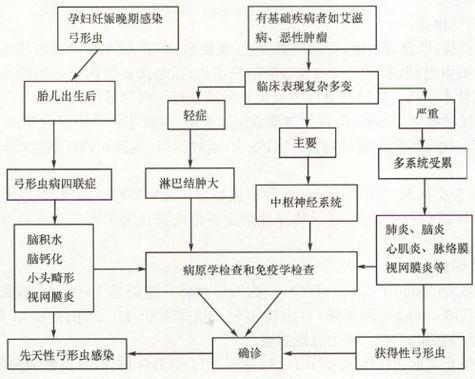 和寵物睡覺真的安全嗎？原來有這麼多地方需要注意
