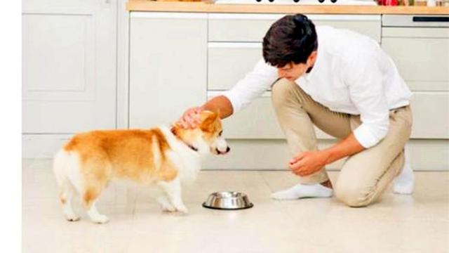 再喜愛狗狗，也不能縱容這3個壞習慣