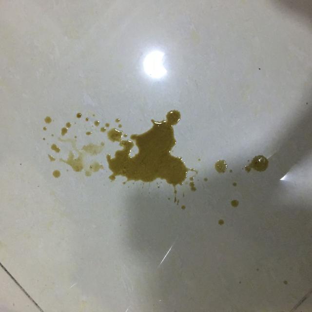 狗狗嘔吐後主人不當回事導致病情惡化，觀察嘔吐物才能分析病因