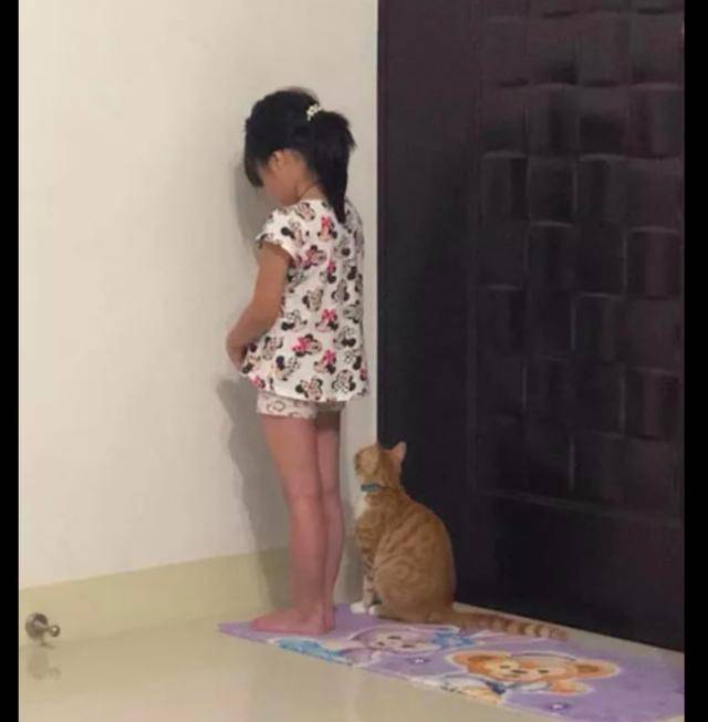 女兒被罰站在牆角反省，貓咪看見後也陪著她一起站著，好有愛！