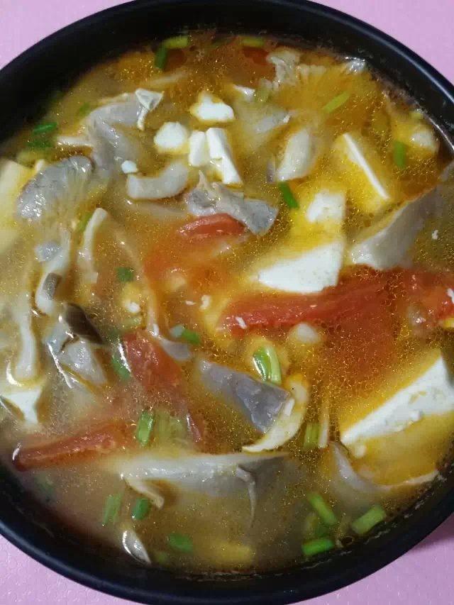 秋季喝湯好，豆腐湯的14種做法，營養又好喝，味道鮮美的不得了！