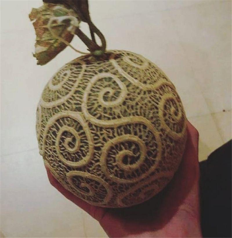 海賊王前期垃圾，後期「封神」的五個果實，第1給雷利吃能單虐五老星