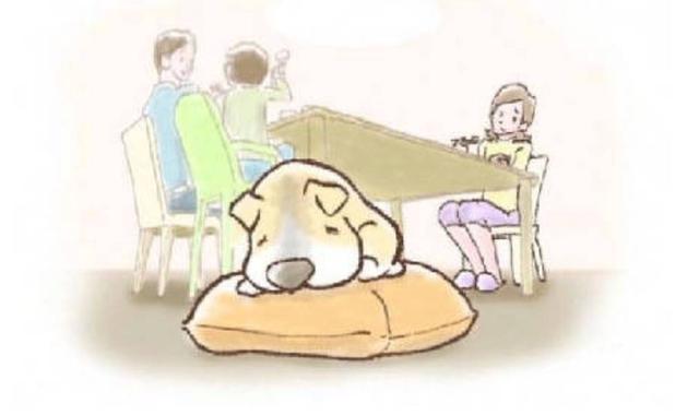 我的世界那麼小，小的只能裝下你（一個老人與狗的故事......） 