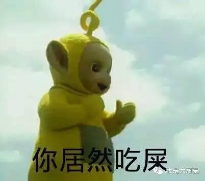 當著貓的面給它鏟屎時，貓在想什麼？