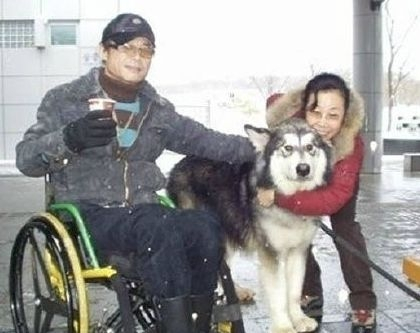 一隻阿拉斯加安樂死的前兩個小時，遇到了電影一般的劇情反轉