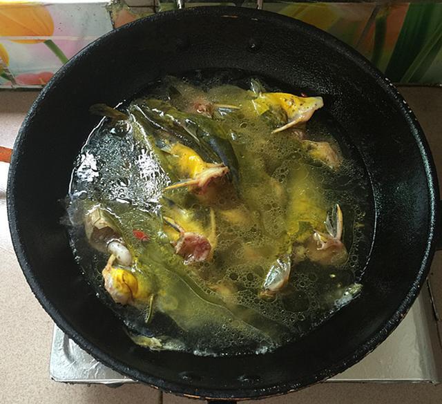 千滾豆腐萬滾魚，一鍋燉出來的美味，營養高味道鮮