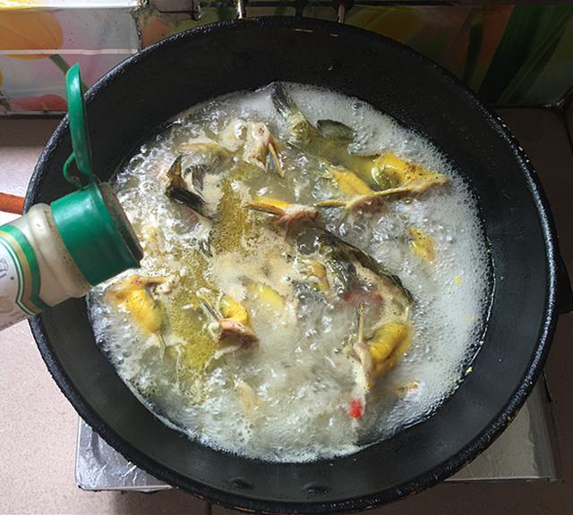 千滾豆腐萬滾魚，一鍋燉出來的美味，營養高味道鮮