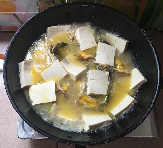 千滾豆腐萬滾魚，一鍋燉出來的美味，營養高味道鮮