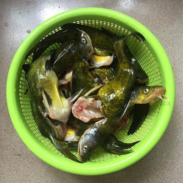 千滾豆腐萬滾魚，一鍋燉出來的美味，營養高味道鮮
