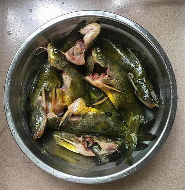 千滾豆腐萬滾魚，一鍋燉出來的美味，營養高味道鮮