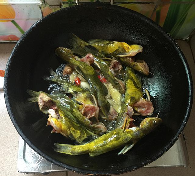 千滾豆腐萬滾魚，一鍋燉出來的美味，營養高味道鮮