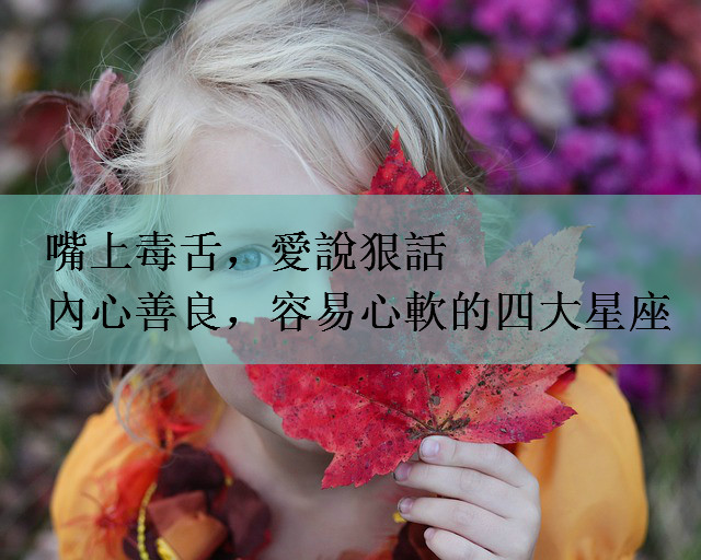 嘴上毒舌，愛說狠話，內心善良，容易心軟的四大星座
