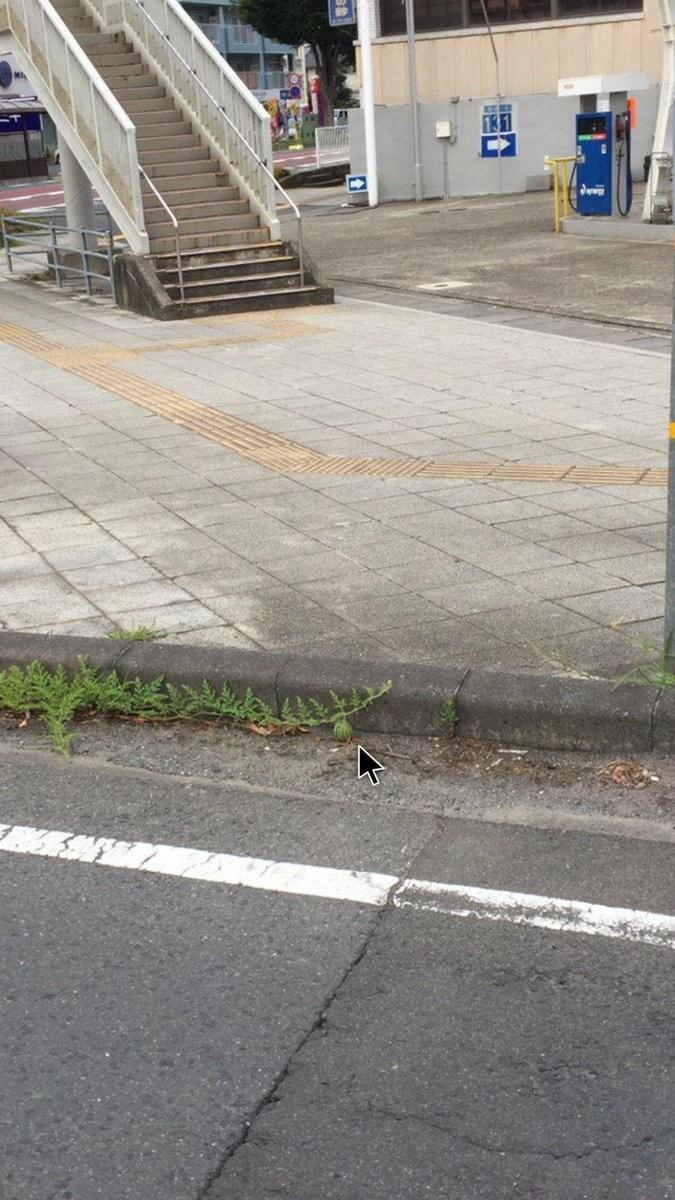這張街景圖裡「有一顆西瓜」全球網友找到脫窗！一公布答案....所有人跪著喊：「真的是西瓜！」 -