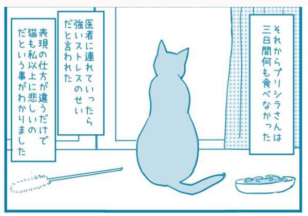 有洋蔥《貓的感情》常被誤解為冷酷的貓咪　或許比人類還重感情..