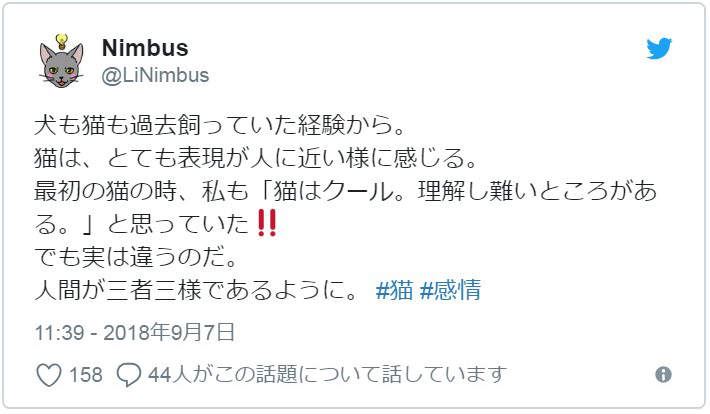 有洋蔥《貓的感情》常被誤解為冷酷的貓咪　或許比人類還重感情..