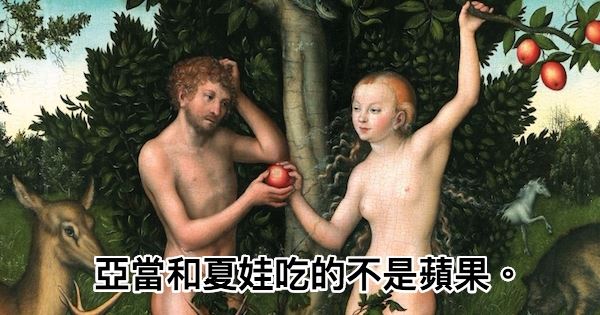 20個「徹底粉碎你過去世界觀」的震驚真相，以為「人類是猴子進化來的」都太天真了！